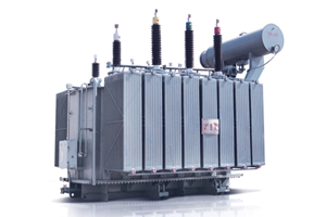 Oil immersed power transformer